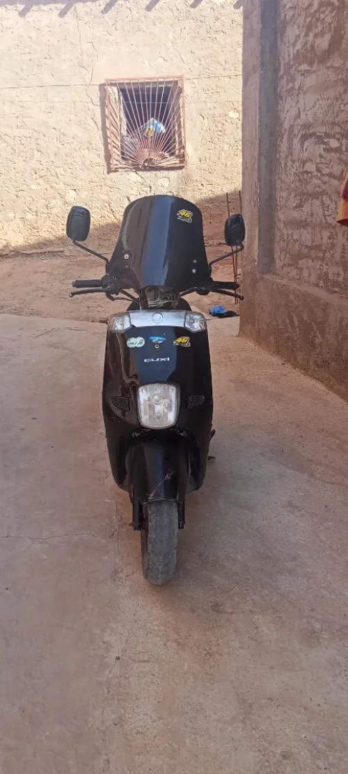 Pista Pista 2018