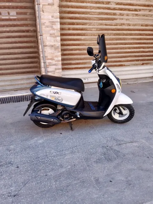 Cuxi Cuxi 2 2023