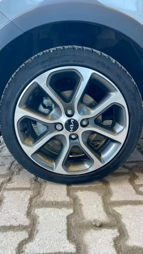 Kia Picanto 2023 Xline