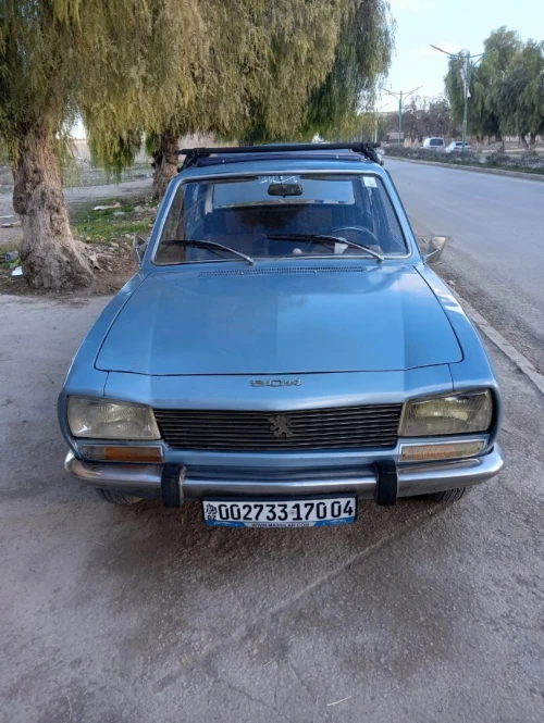 Peugeot 504 GL 1970 