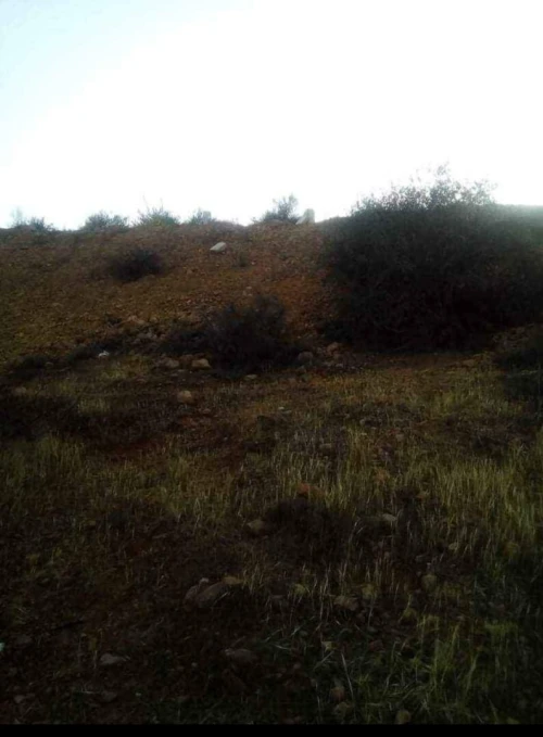 Vente Terrain Béjaïa Akbou