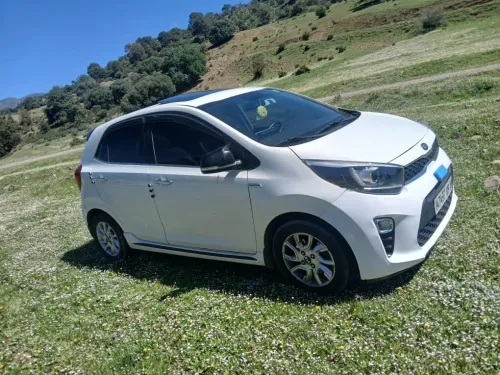 Kia Picanto 2019 EX