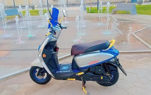 Vms Coxi 2 2022