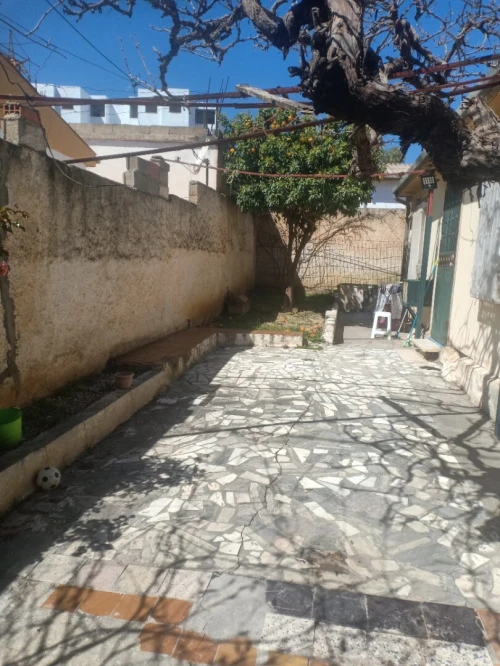 Vente Terrain Constantine Ain smara