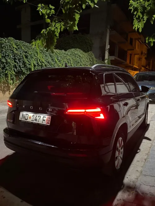 Skoda Karoq 2022 