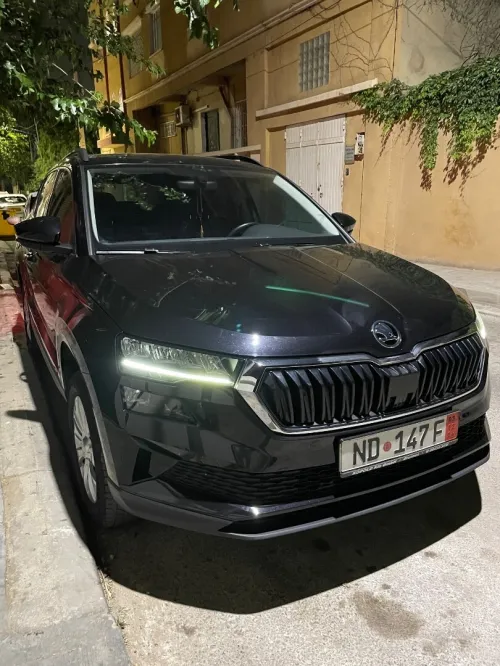 Skoda Karoq 2022 