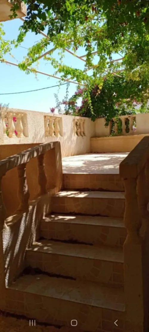Location vacances Bungalow F4 Oran Ain el turck