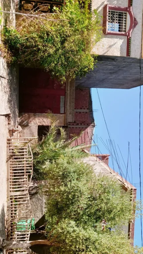Vente Terrain Tiaret Dahmouni