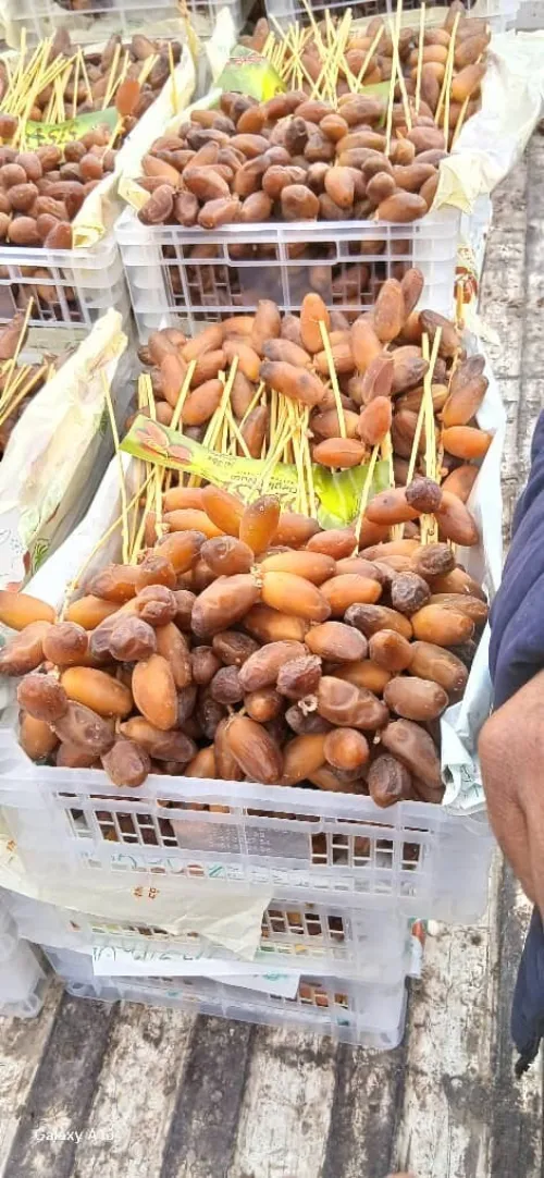 Vente de Dattes Premium ( DegletNour)/ بيع تمور دقلة نور