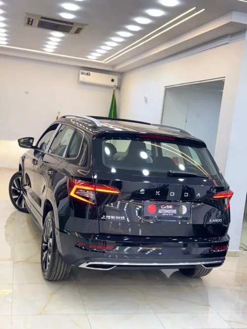 Skoda Karoq 2025 Full option