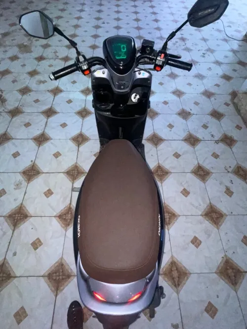 cuxi Okinoi 2024