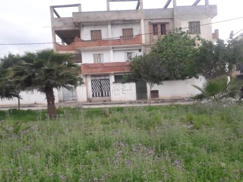 Vente Villa Guelma Belkheir