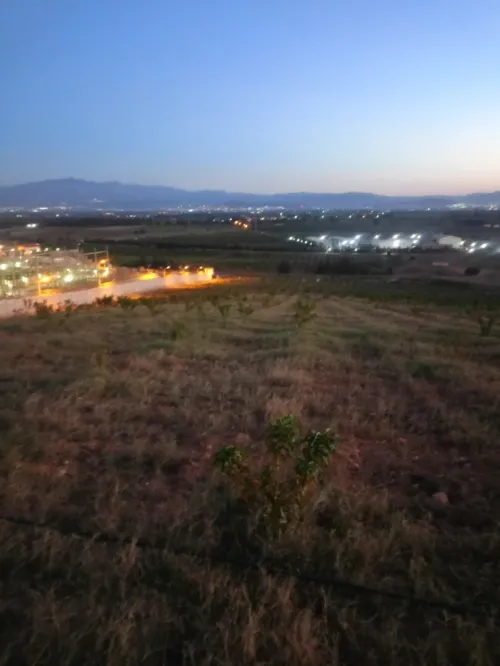 Vente Terrain Agricole Tipaza Sidi rached