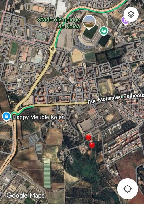 Vente Terrain Tipaza Kolea