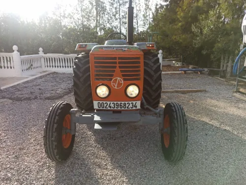 SIRTA SIRTA 1982