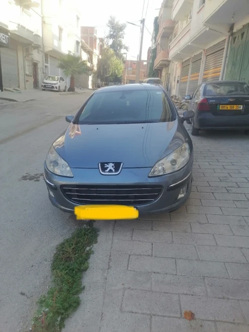 Peugeot 407 2005 407