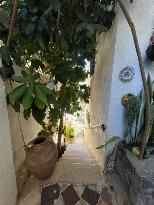 Vente Villa Alger El achour