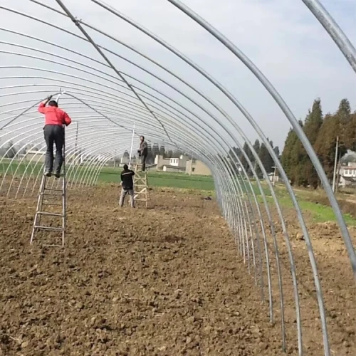 Serre agricole Veticole بيوت بلاستيكية