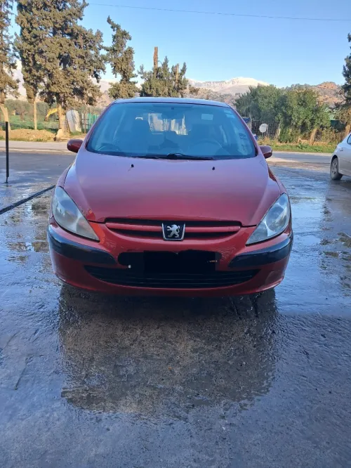 Peugeot 307 2001 XT