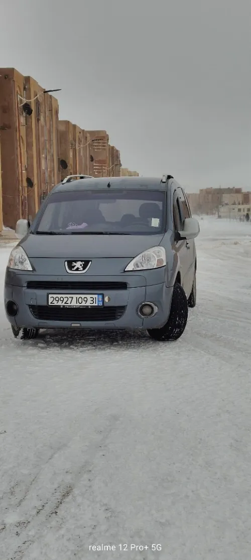 Peugeot Partner 2009 Tepee