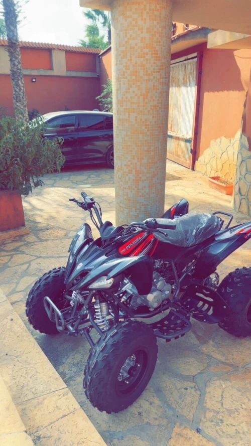 Pentora vms Raptor 250 2025