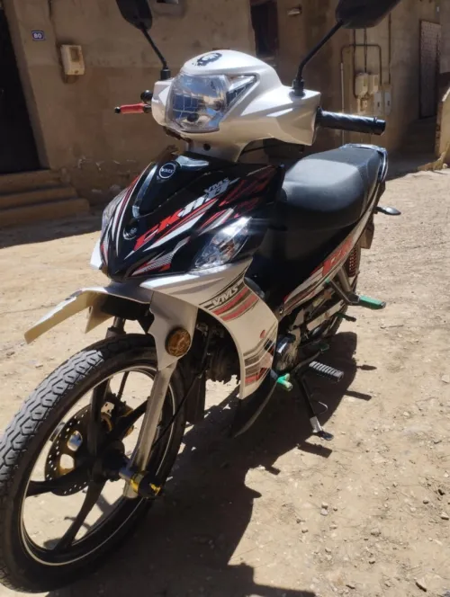 Vms Vms 2024