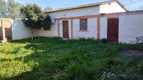 Vente Terrain Blida Mouzaia