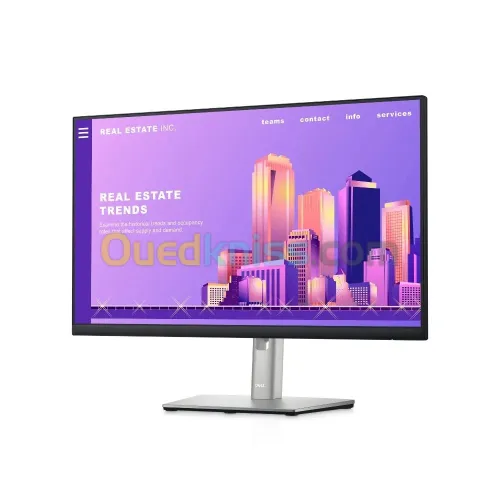 Ecran Dell P2422H 24 pouces large en FHD avec 60Hz/dalle IPS 16:9ème/5ms/HDMI/DisplayPort/VGA/USB