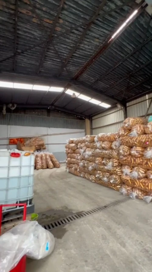 Vente Hangar - Usine Alger Les eucalyptus