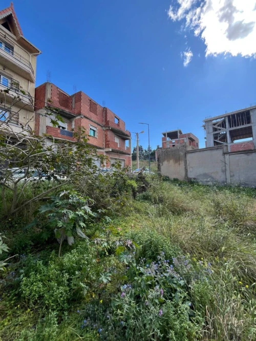 Vente Terrain Alger Khraissia