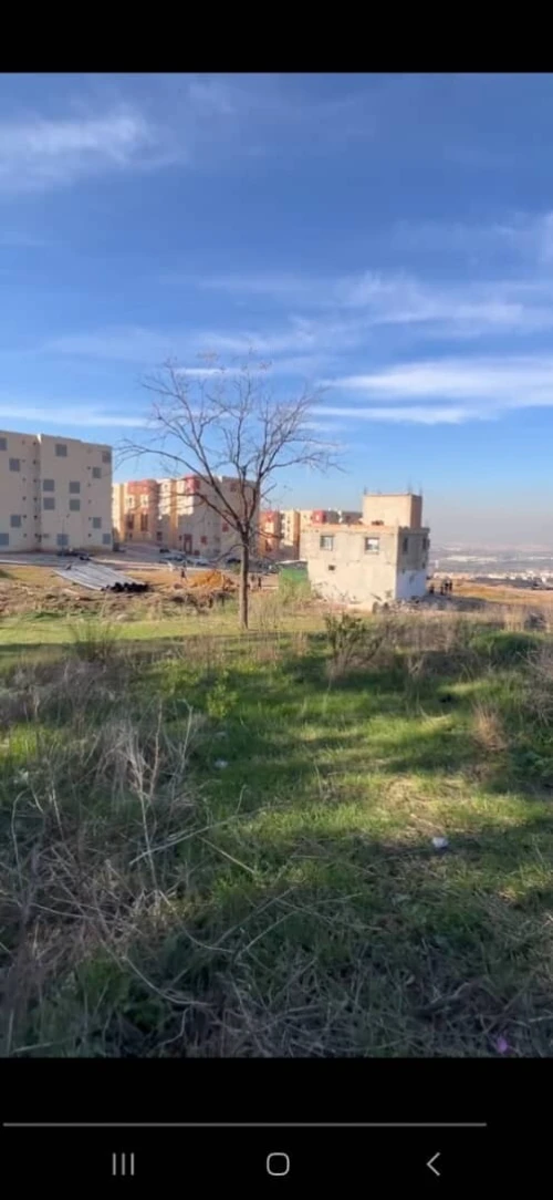 Vente Terrain Blida Meftah