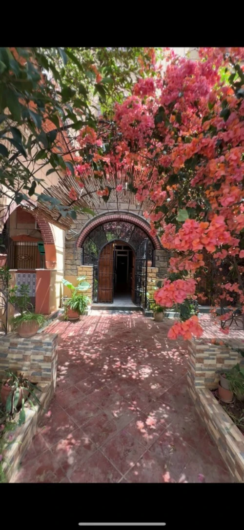 Vente Villa Alger Rouiba