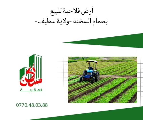 Vente Terrain Agricole Sétif Hammam El Sokhna
