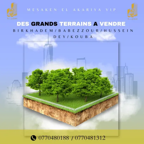 Vente Terrain Alger Alger centre