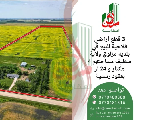 Vente Terrain Agricole Sétif Mezloug