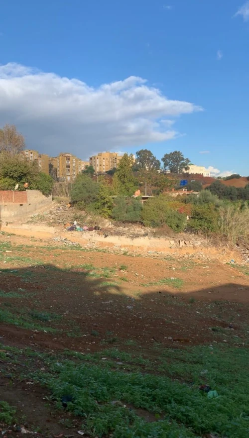 Vente Terrain Alger Bachdjerrah