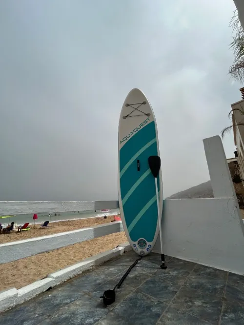 Paddle intex 320