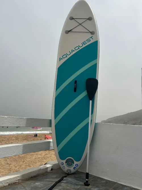 Paddle intex 320