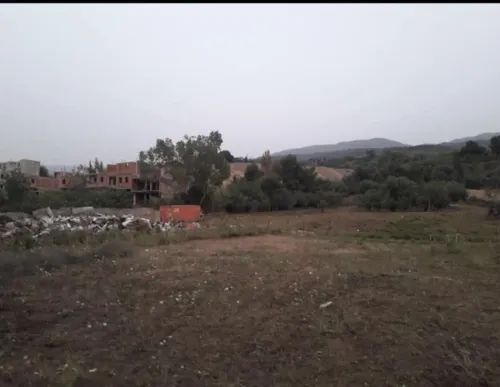 Vente Terrain Blida Bouarfa