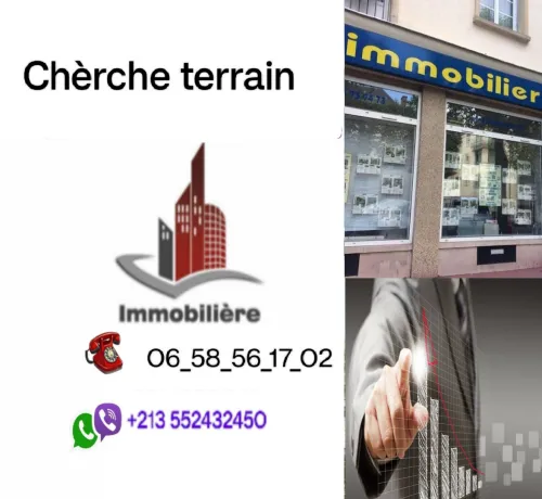 Cherche achat bien immobilier Tipaza Tipaza