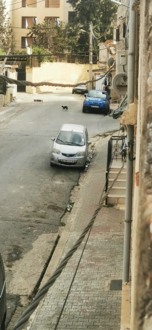 Vente Villa Alger El madania