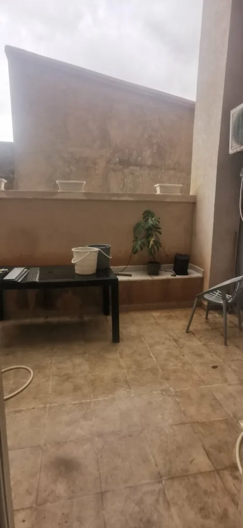 Location Appartement F4 Alger Baba hassen