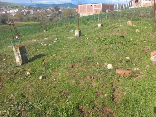 Vente Terrain Skikda Ben el ouiden