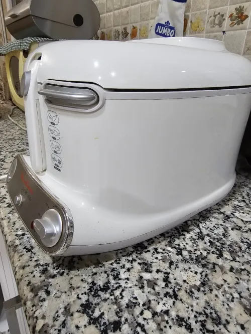 Friteuse 