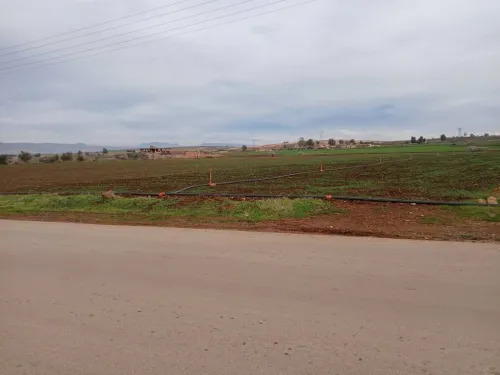 Vente Terrain Agricole Aïn Defla Ain soltane