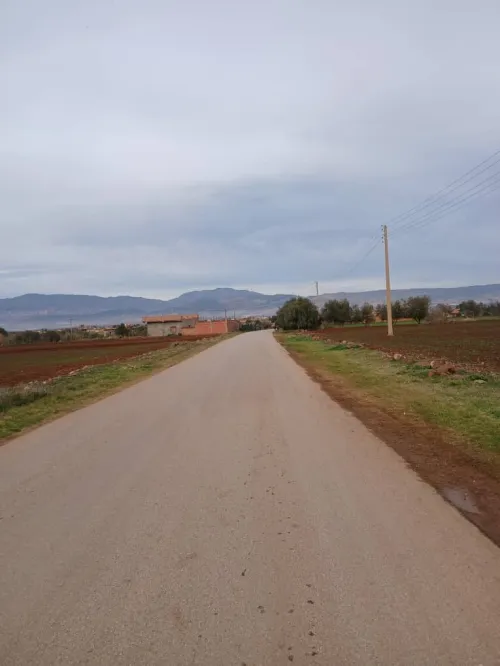 Vente Terrain Agricole Aïn Defla Ain soltane