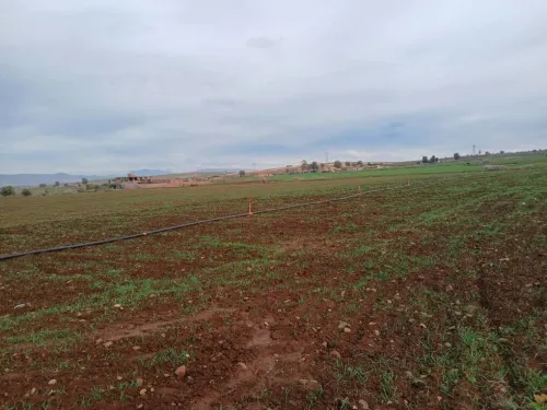 Vente Terrain Agricole Aïn Defla Ain soltane