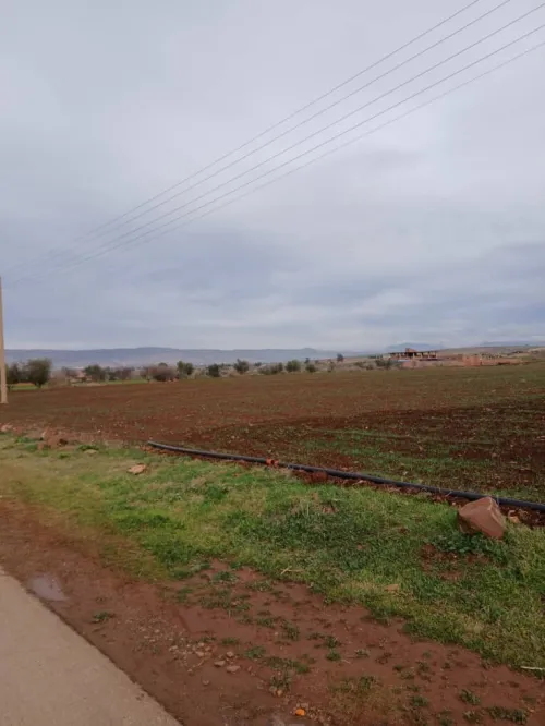 Vente Terrain Agricole Aïn Defla Ain soltane