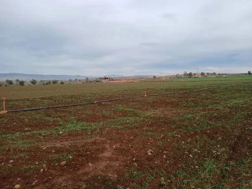 Vente Terrain Agricole Aïn Defla Ain soltane