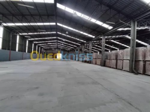 Vente Terrain Alger Reghaia